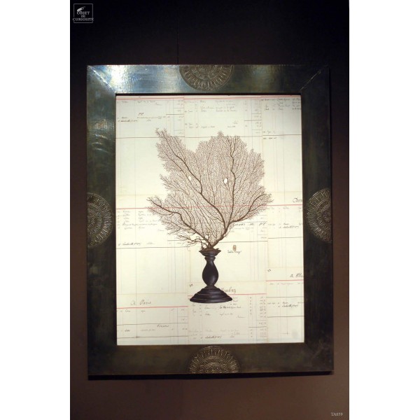 Black sea fan painting