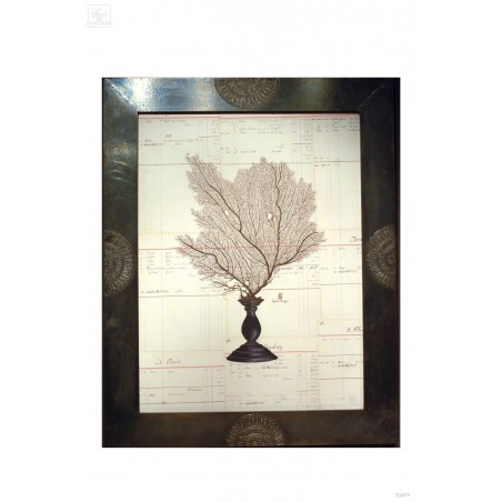 Black sea fan painting