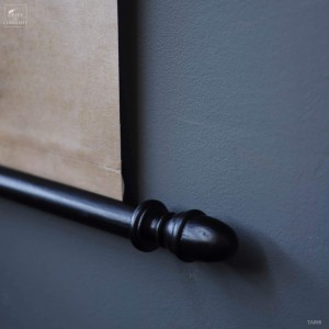 Planche botanique 1905 2