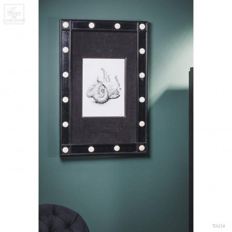 Reproduction of octopus, numbered in black wood frame