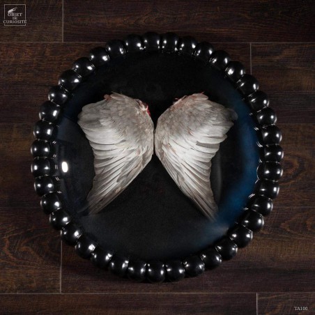 Round ball frame with convex glass