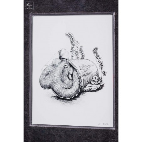 Reproduction of octopus, numbered in black wood frame