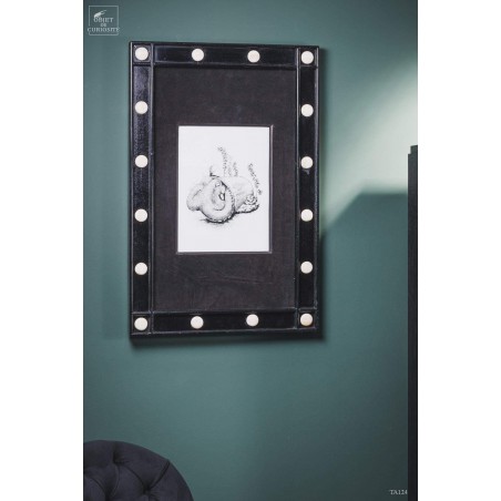Reproduction of octopus, numbered in black wood frame