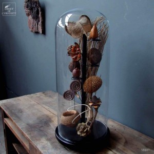 Seed under glass