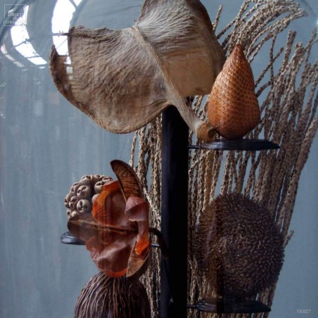 Seed under glass