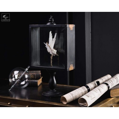 Scolecite crystal in glass display box