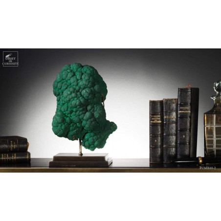 Malachite concretionnées sur socle laiton - Congo