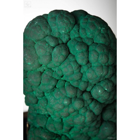 Malachite concretionnées sur socle laiton - Congo