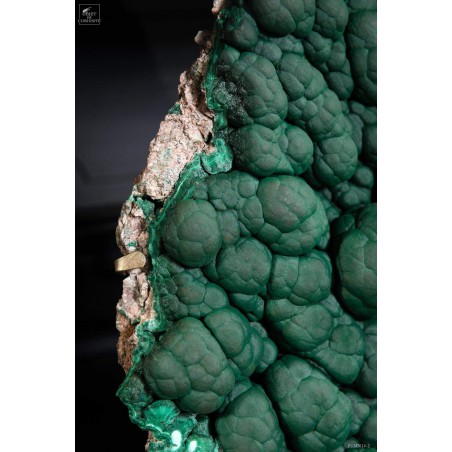 Green crystalized malachite - Congo