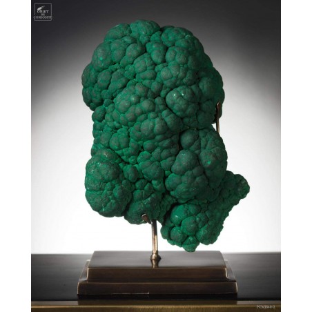 Malachite concretionnées sur socle laiton - Congo