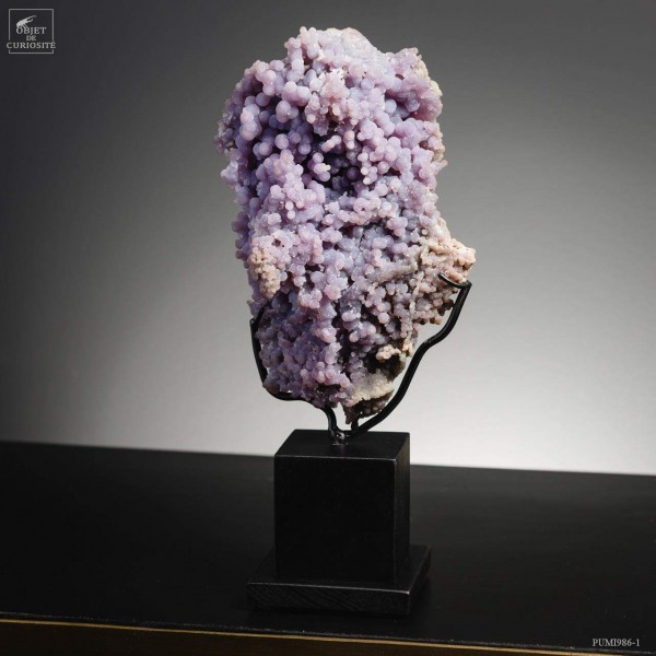 Calcédoine agate raisin -Sulawesi Socle bois noir