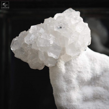 Apophyllite on chalcedony under glass (India)