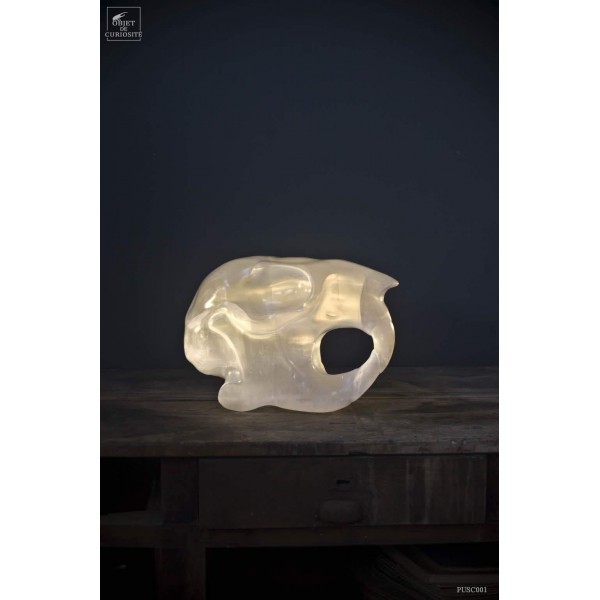 Crane de myocastor en gypse