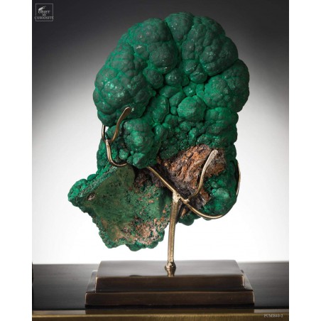 Malachite concretionnées sur socle laiton - Congo