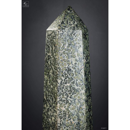 Kambamba Jasper (10.7kg) on black base