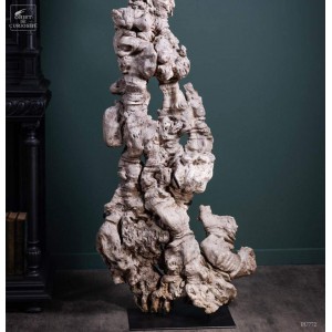 Loupe de longanier sur base...