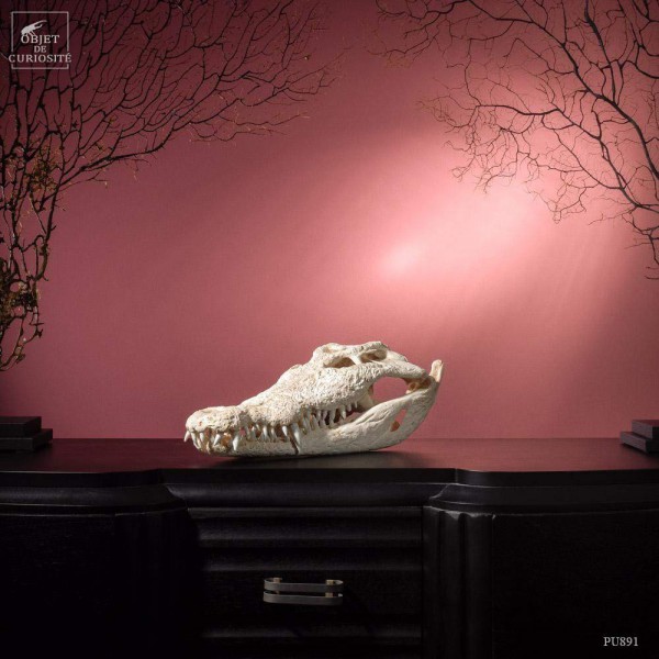 Crane de crocodile SIAMENSIS 47cm...