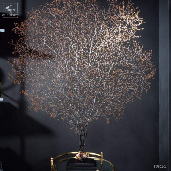 Black gorgonian on black base