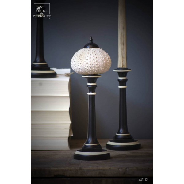 Oursin blanc (Madagascar) sur socle...