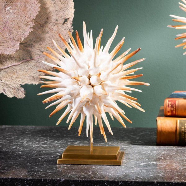 Ball of Fusinus sea shells on brass base Ball of Fusinus sea shells on brass base