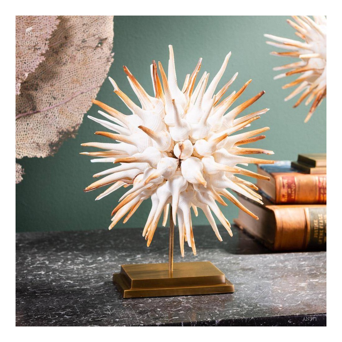Ball of Fusinus sea shells on brass base Ball of Fusinus sea shells on brass base