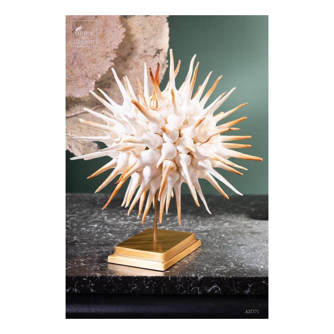 Ball of Fusinus sea shells on brass base Ball of Fusinus sea shells on brass base