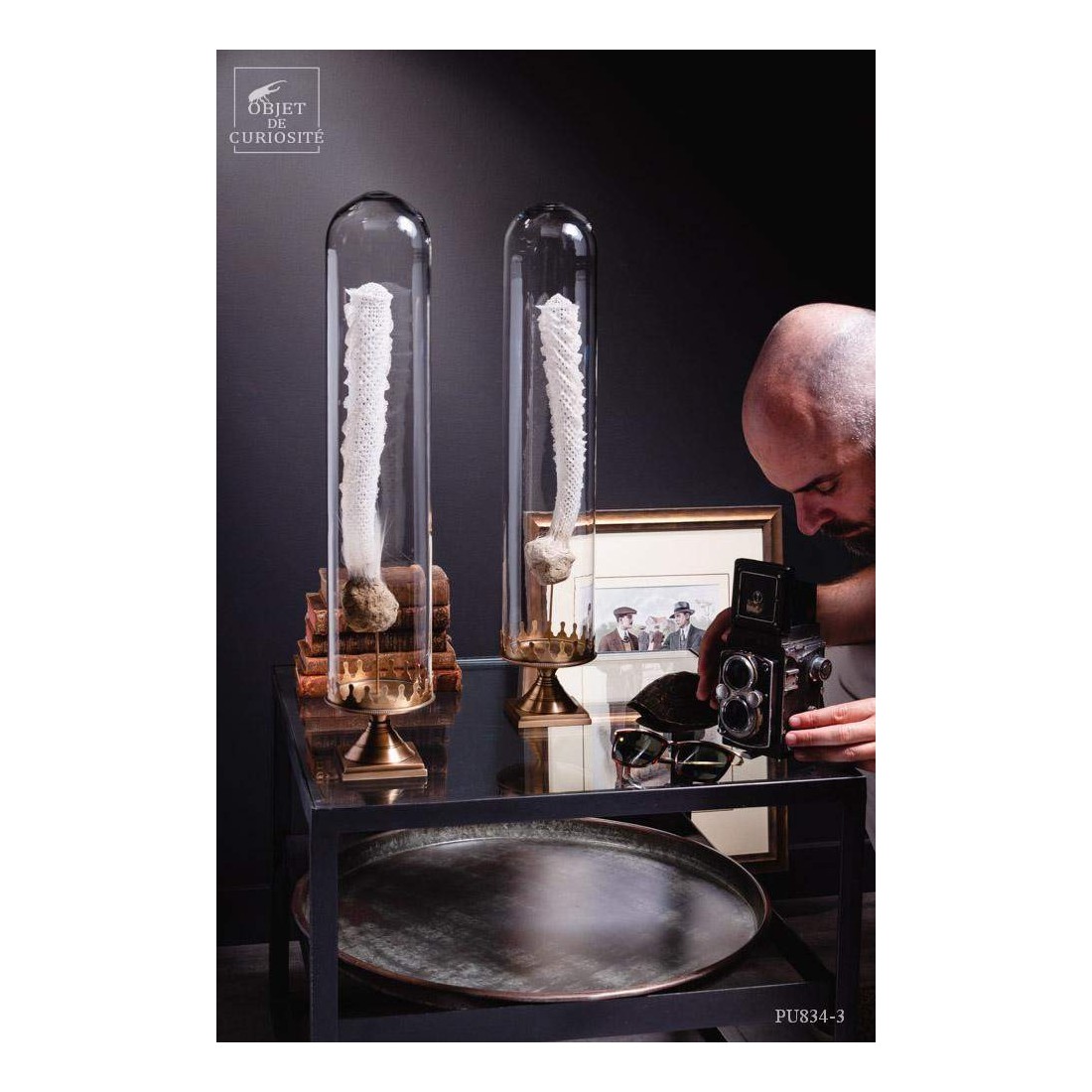 Eponge de verre des grandes... Eponge de verre des grandes...