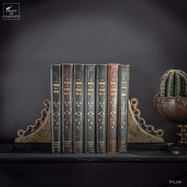 The panorama of the 1st world war. 1920