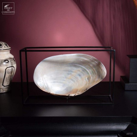 Moule blanche dans cage filaire