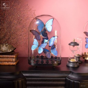 5 Blue morpho butterflies...