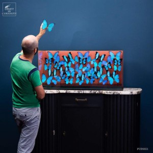 40 papillons morpho dans...