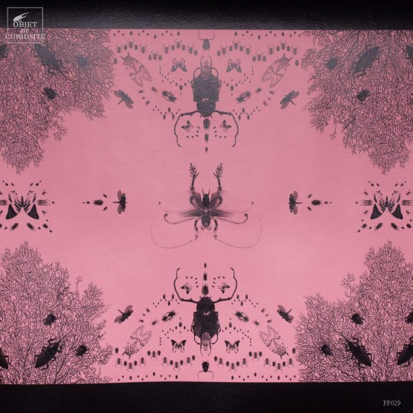 Frise insectes CURIOSITY LACE (363OA)...