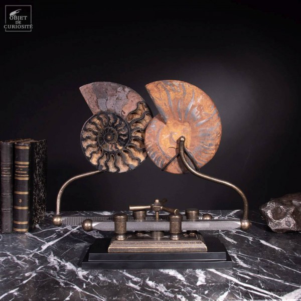 Ammonite on sliding machine