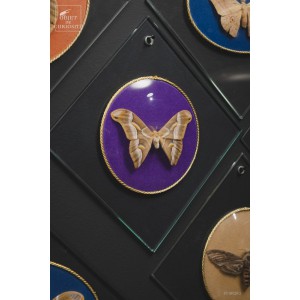 17 Vintage butterfly glass... 2