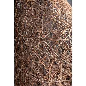 Weaver-birds nest under... 2