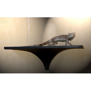 Iguana on black sconce