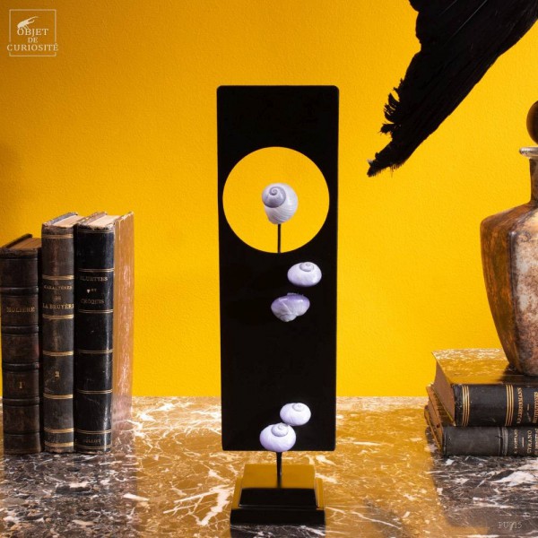 Purple sea snails -Janthina