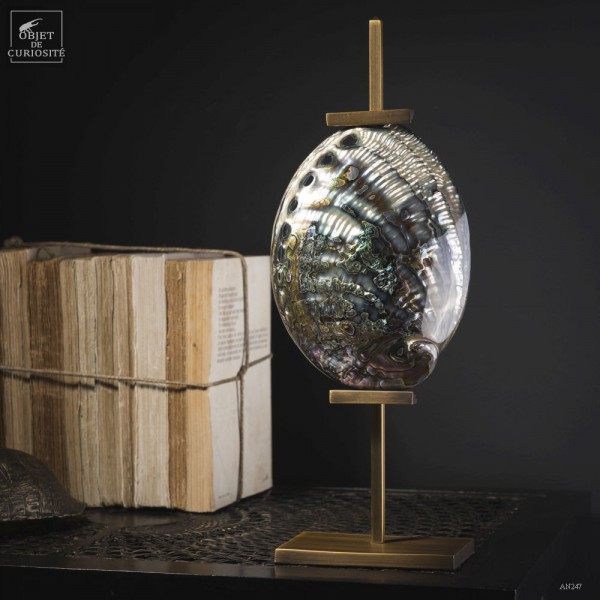 Polished Haliotis iris on brass easel