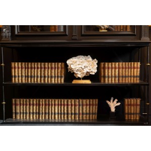 Littérature Allemande...