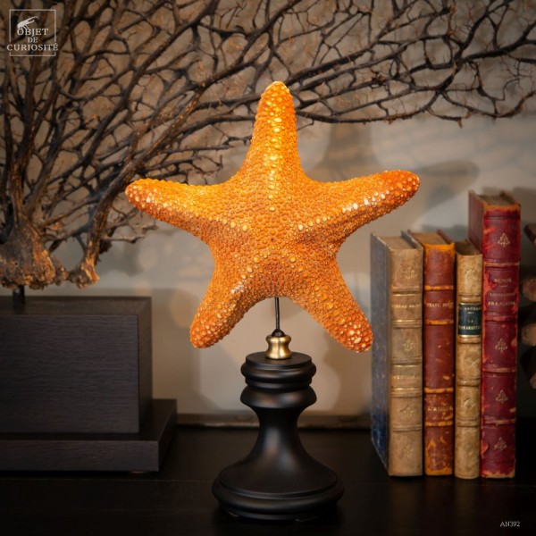 Etoile de mer à pois  sur socle rond