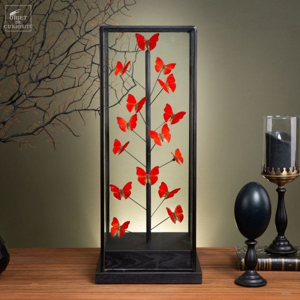 18 papillons CYMOTHOE SANGARIS –...