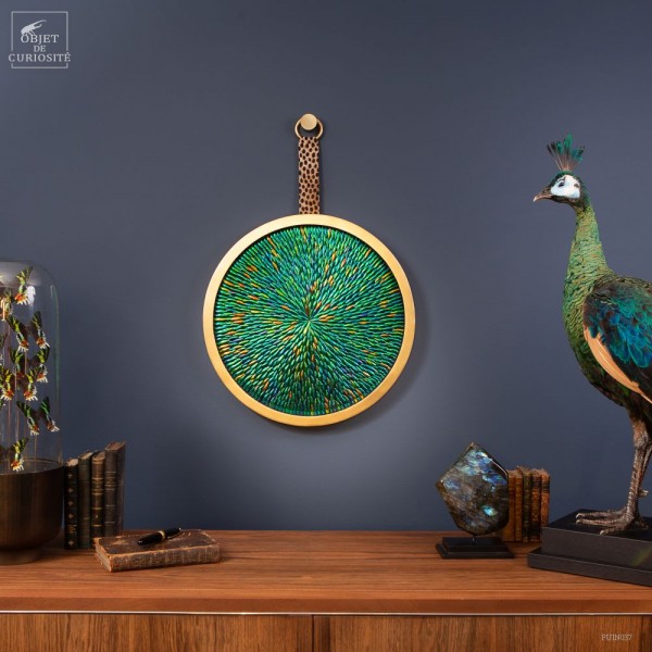 Tableau d'Elytres de Sternocera,...