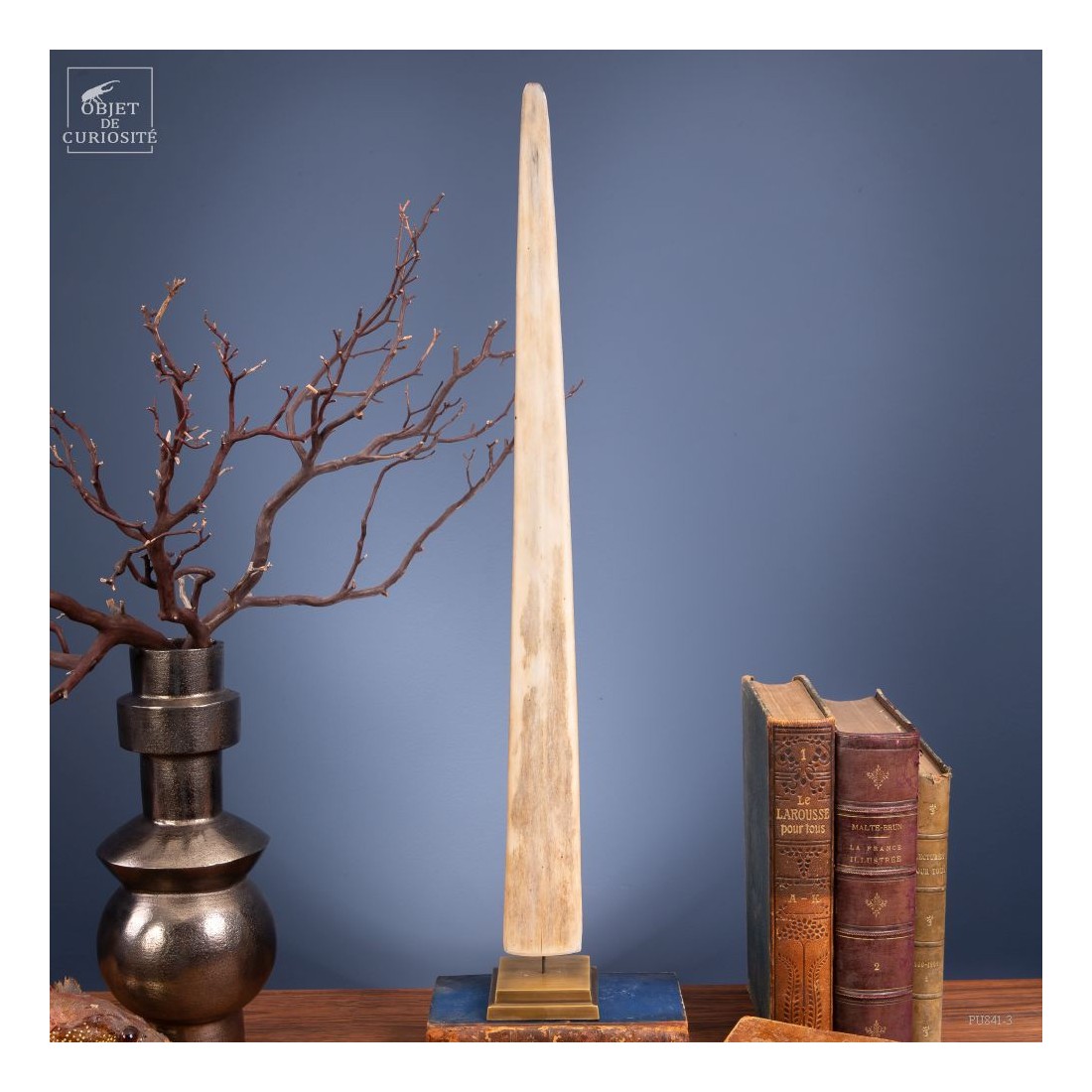 Swordfish beak on brass