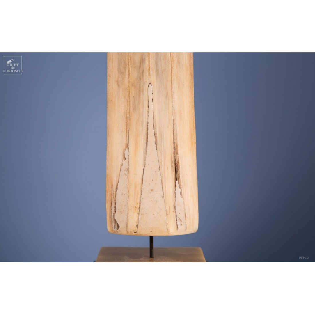 Swordfish beak on brass