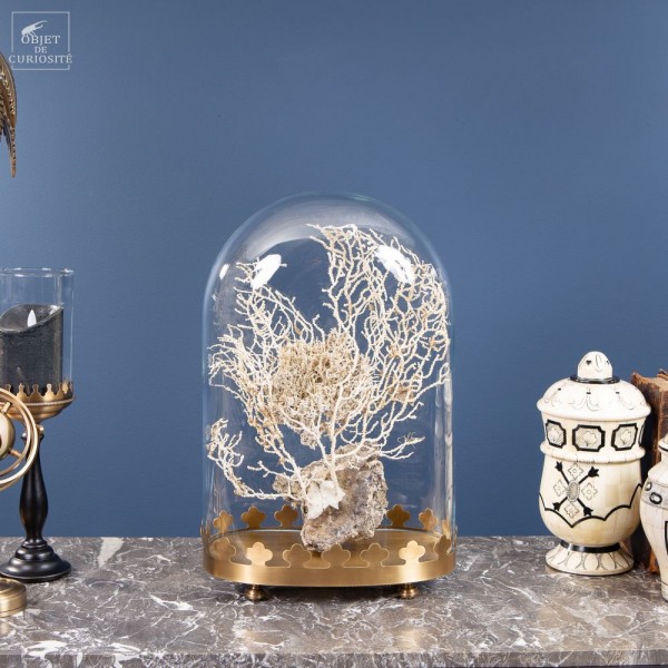 White sea fane under oval globe