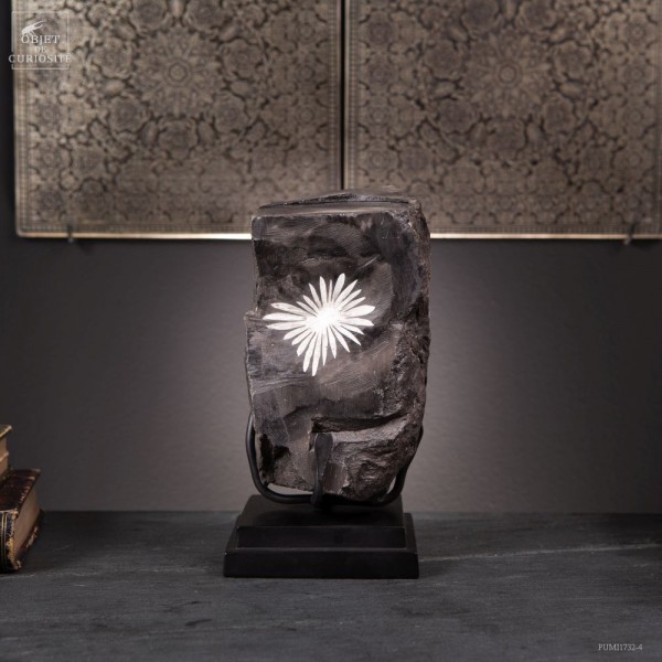 Pierre Chrysantheme de Chine