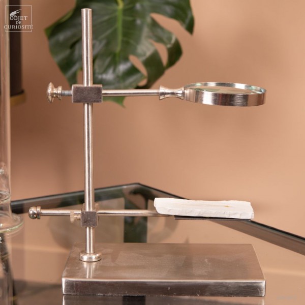 Poisson fossile sous loupe