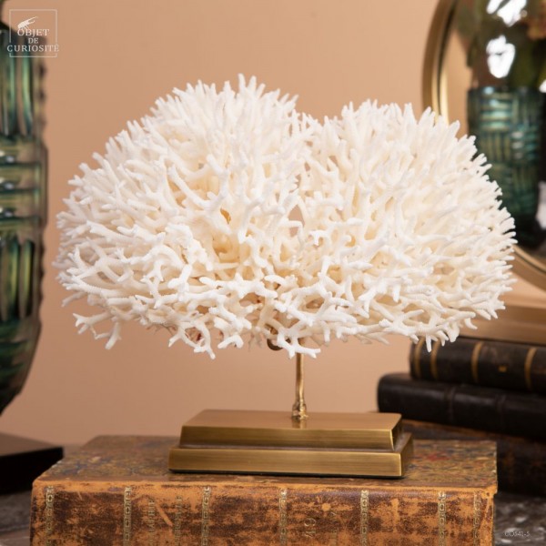 White coral SERIATOPORA HYSTRIX