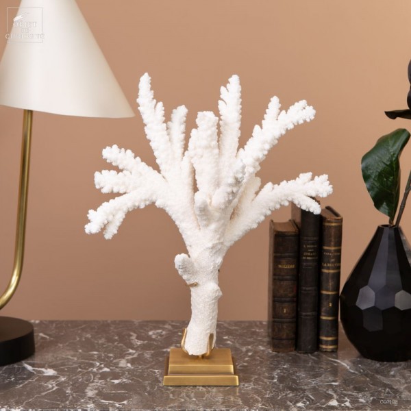 Branch coral -ACROPORA FLORIDA