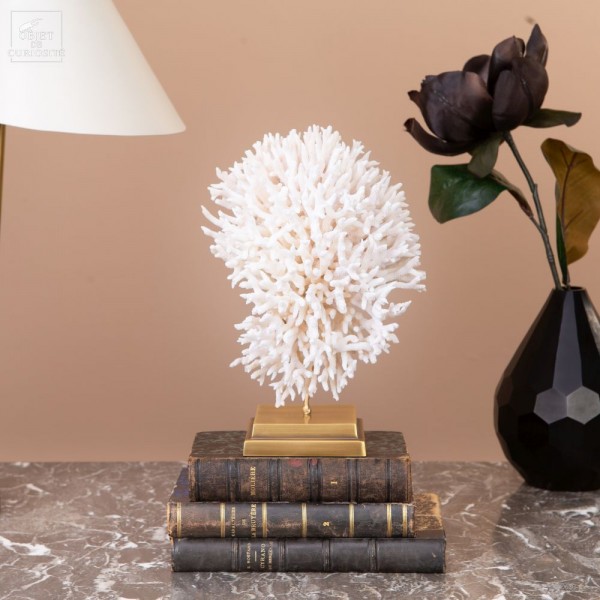 White coral SERIATOPORA HYSTRIX